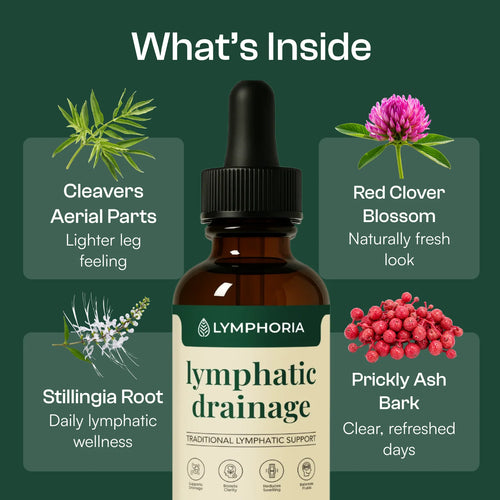 What's inside Lymphoria Drops — cleavers aerial parts, red clover blossom, stillingia root and prickly ash bark